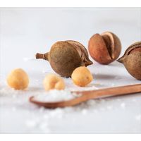  House of Macadamias Nuts Dry Roasted with Namibian Sea Salt